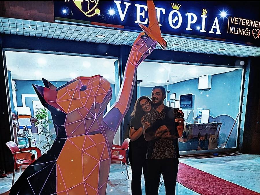 Vetopia Veteriner Kliniği akşam, girişteki kedi heykeli ve tabela