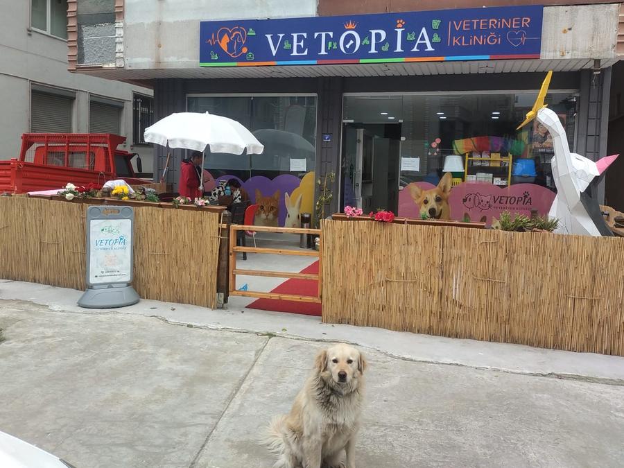 Vetopia Veteriner Kliniği cephesi, tabelası ve giriş kapısı